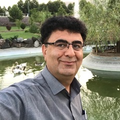 Saeed Khezri's profile picture