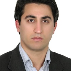 Faramarz Nikjoo's profile picture