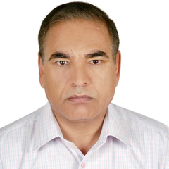 M. Raqab's profile picture