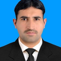 Khizar Hayat's profile picture