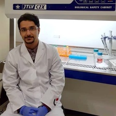 Sina Taefehshokr's profile picture