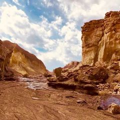 Mohammad sadeghi's profile picture