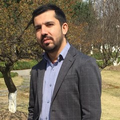 Mushtaq  Hussain's profile picture