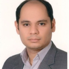 Mostafa Shateri's profile picture
