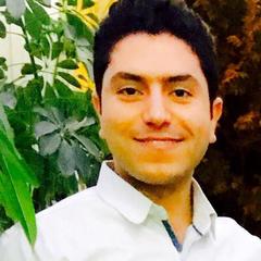 Younes Kamali's profile picture