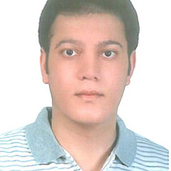 Faramarz Ilami Doshmanziari's profile picture