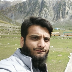 Mohamad Wani's profile picture