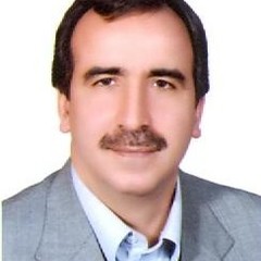 Saeid Abbasbandy's profile picture
