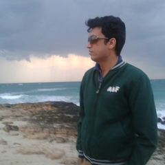 Ehsan Zamanzade's profile picture