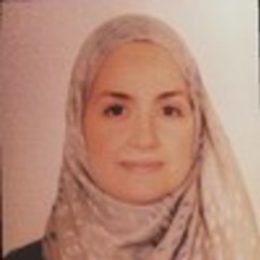 Malek Ennaifer's profile picture