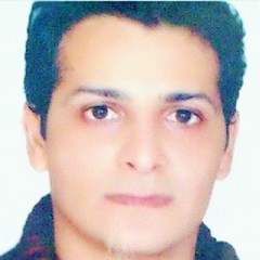 Reza Heidari's profile picture