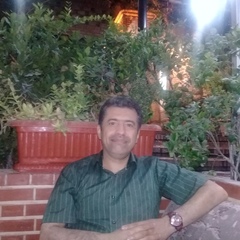 Mohammad Ali Fariborzi Araghi's profile picture
