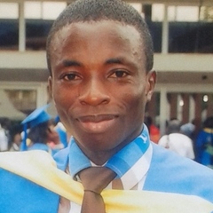 EMMANUEL  HONLAH's profile picture