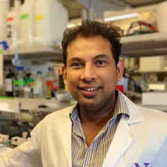 Eunús S. Ali, Ph.D.'s profile picture