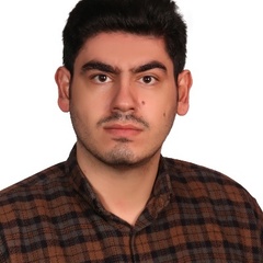 Mohammadreza Alizadeh's profile picture