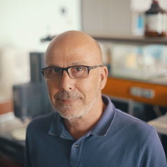 Constantinos Tsitsilianis's profile picture