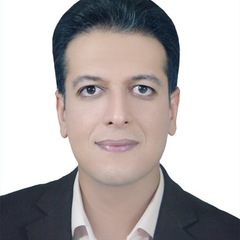 Hamed Seddighi's profile picture