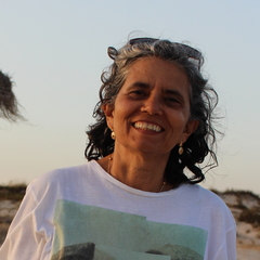 Ana  Francisco's profile picture