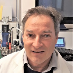 Jean-François Brugère's profile picture