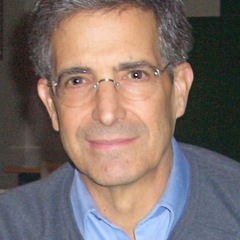 Terry Nardin's profile picture