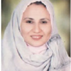 Heba Ahmed's profile picture