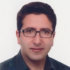 morteza hemmat's profile picture