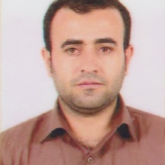 Mohammad Moradi-Joo's profile picture