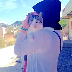 Roza BELKACEM's profile picture