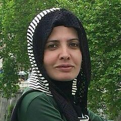 Suzan Sanavi's profile picture