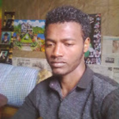 Bayu  Bekele's profile picture