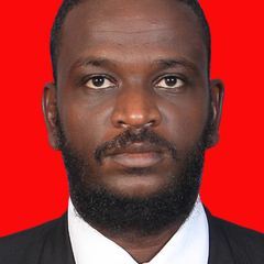 Elmutaz Atta Awad's profile picture