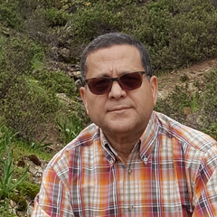 ABDELHAY ARAKRAK's profile picture