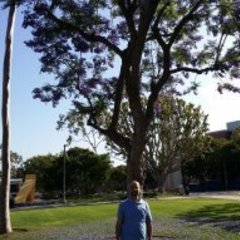 Osama Omari's profile picture