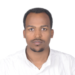 Halefom Haile's profile picture