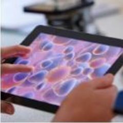 Amer Al-Jawabreh's profile picture