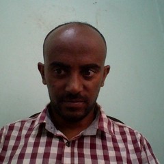 Mengstu Asaye's profile picture