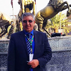 Amer Al-Khafaji's profile picture