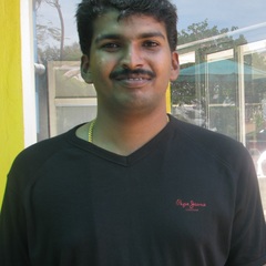 Balto Y's profile picture