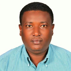 Bizuayehu Tilahun's profile picture