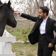 S. Ali Ahmadi's profile picture