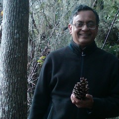 Satyajit Chatterjee's profile picture