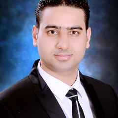 Emad M. Khokha's profile picture