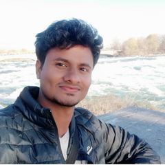 Ramesh Krishnan's profile picture