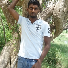 Keerthanan S's profile picture