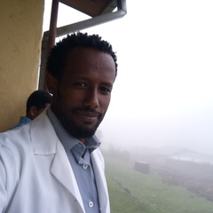 Waktole  Fufa's profile picture