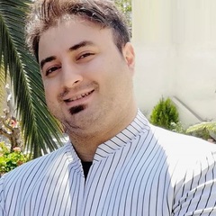 Erfan Babaee Tirkolaee's profile picture