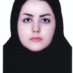 Somayeh Mollaei's profile picture
