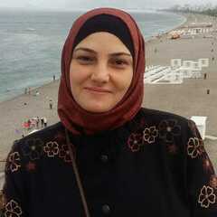 Alaa Mohammedameen's profile picture