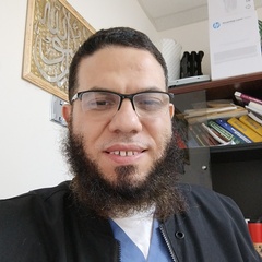Ahmed  Elassal 's profile picture