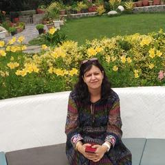 sartaj chaudhary's profile picture